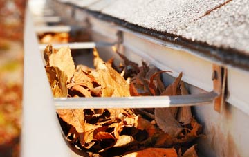 East Hill gutter cleaning companies